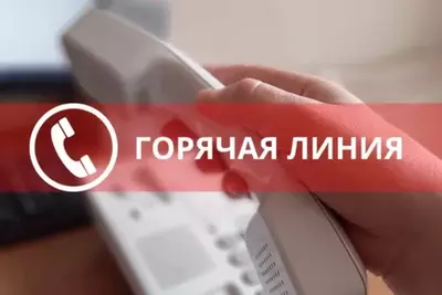 «Горячая линия» по вопросам приема в дошкольные образовательные учреждения